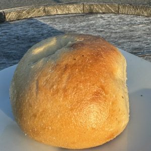 Plain Bagel