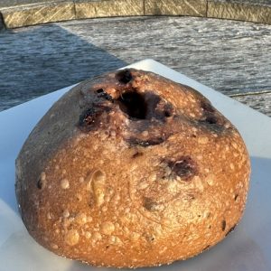 Blueberry Bagel