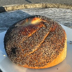 Poppy Seed Bagel