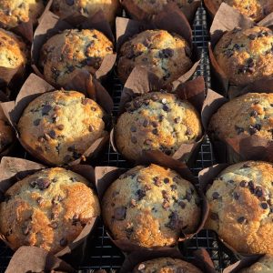 Chocolate Chip Muffin